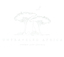 Elevate your Journey (1)