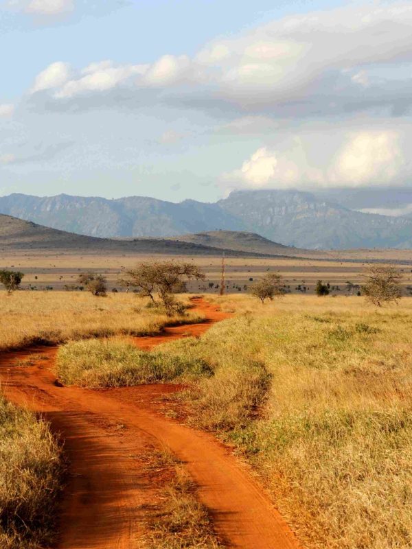 UNTRAVELED AFRICA (7)