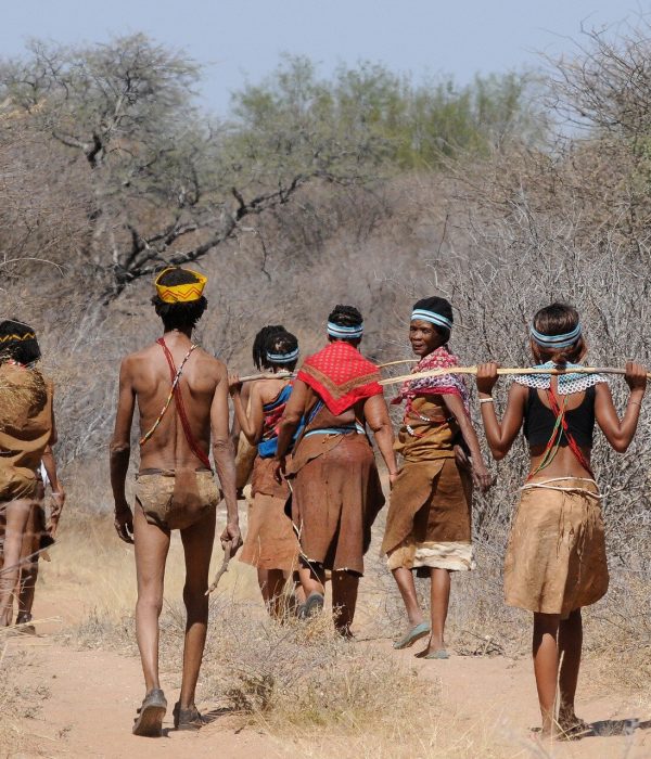 botswana-2219383_1920