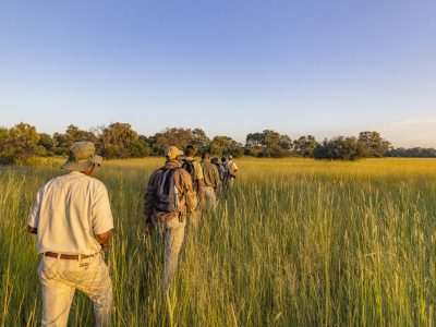 kwapa_2023-18 kwapa_2023-18